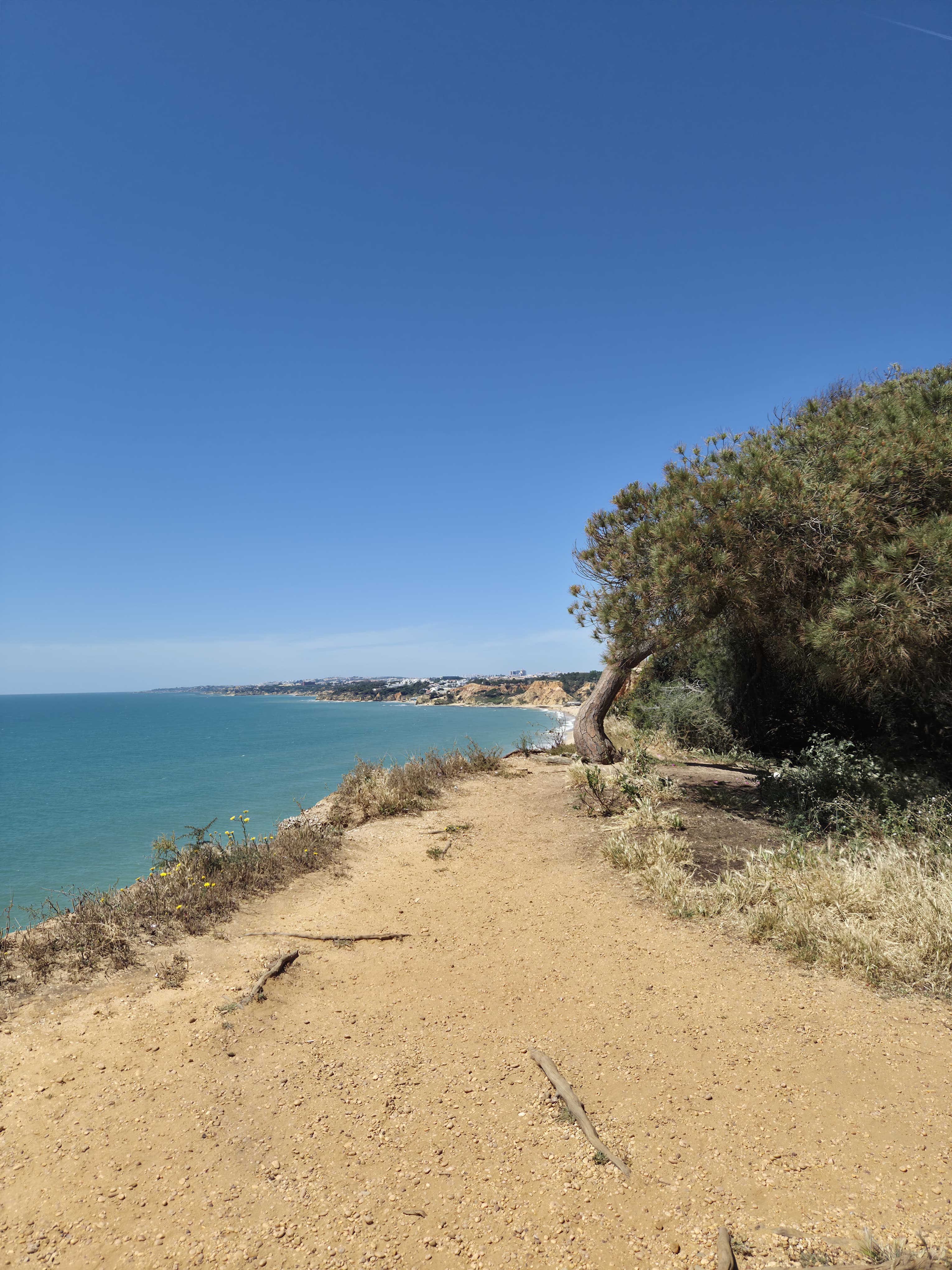 Algarve cliff path